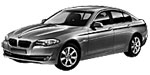 BMW F10 P01D6 Fault Code